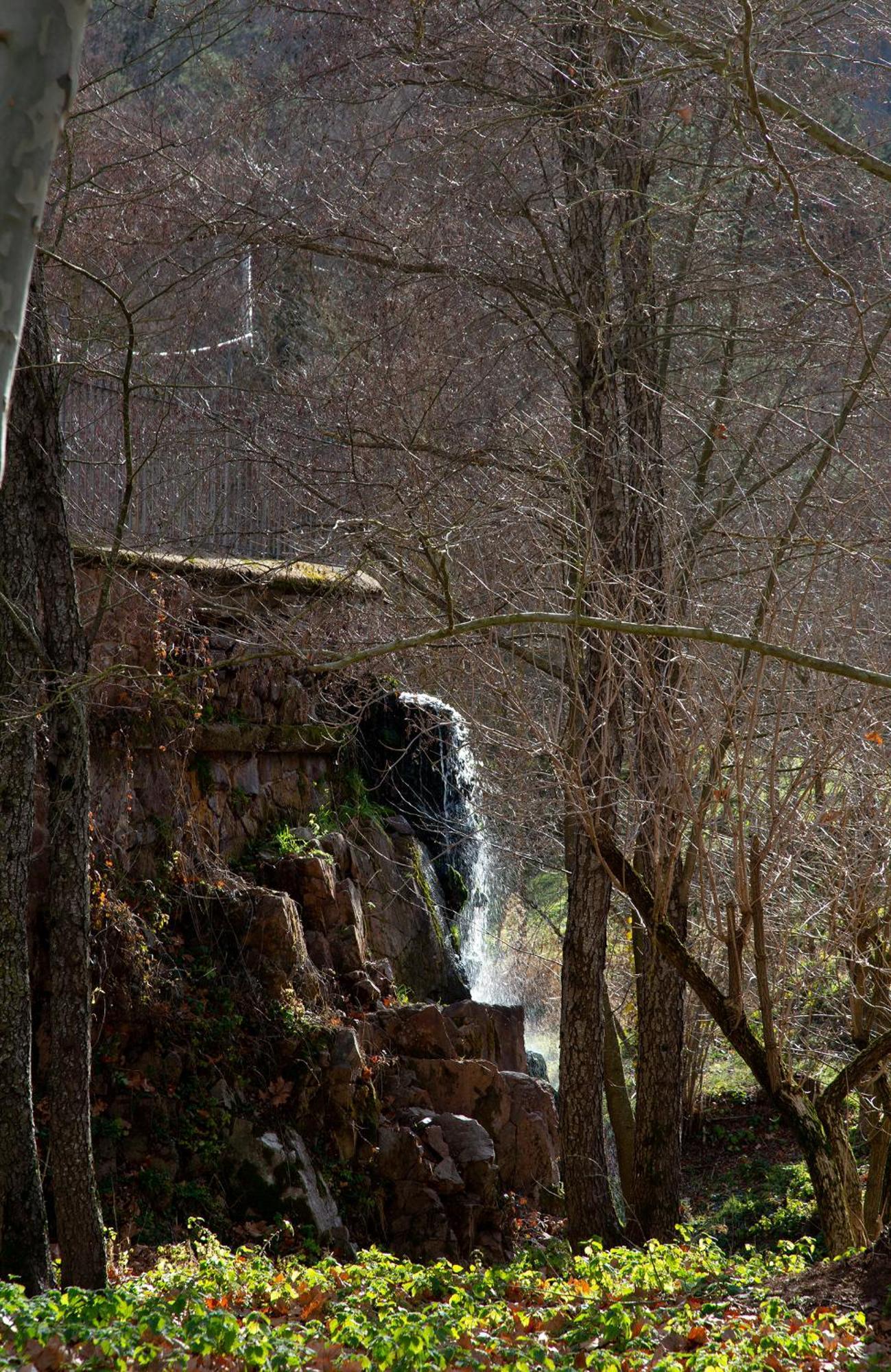 Casa Fabregas - Benestar Natural Viladrau Eksteriør billede